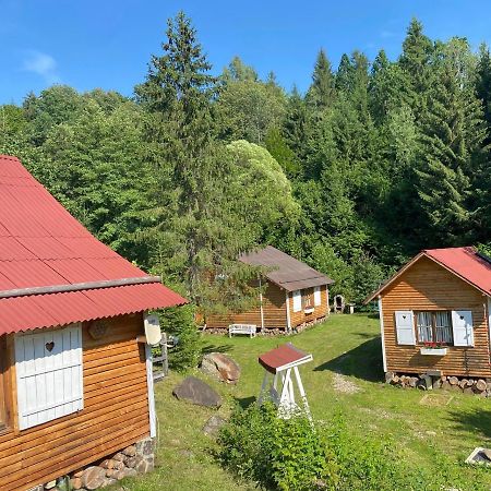 Homorod Lodge Băile Homorod エクステリア 写真