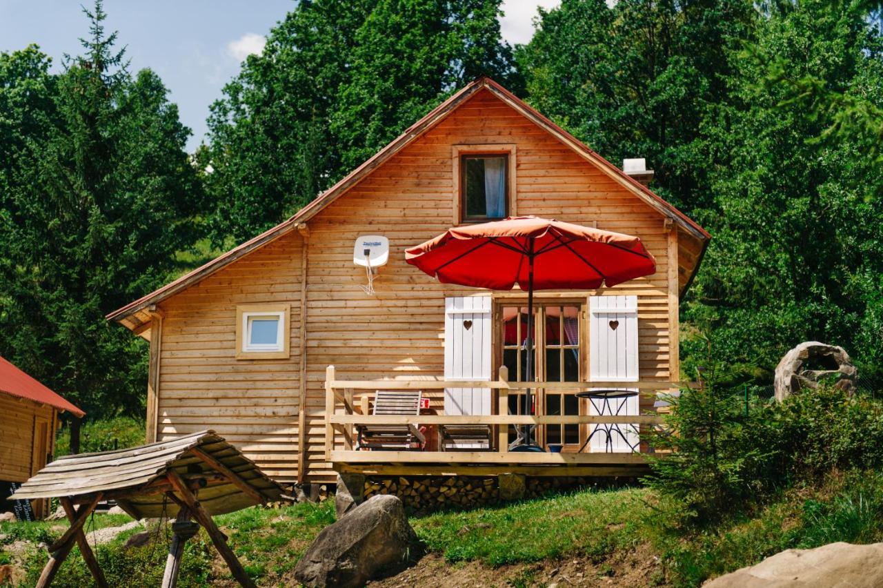 Homorod Lodge Băile Homorod エクステリア 写真