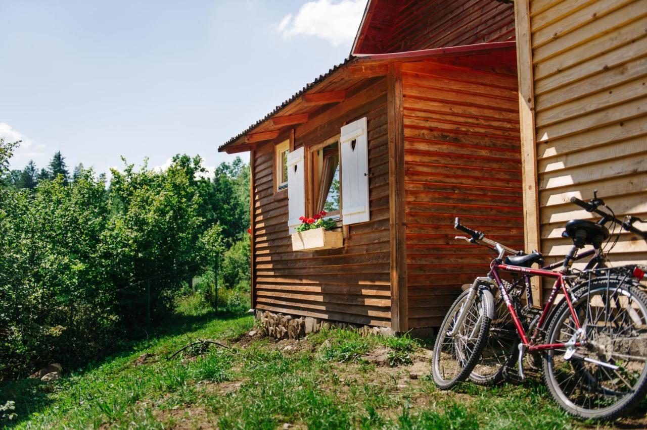 Homorod Lodge Băile Homorod エクステリア 写真