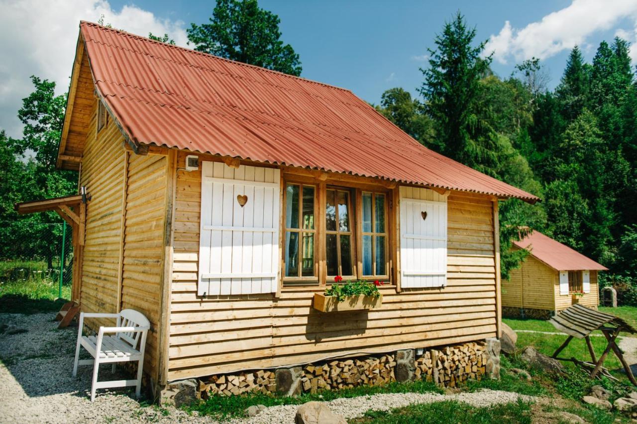 Homorod Lodge Băile Homorod エクステリア 写真