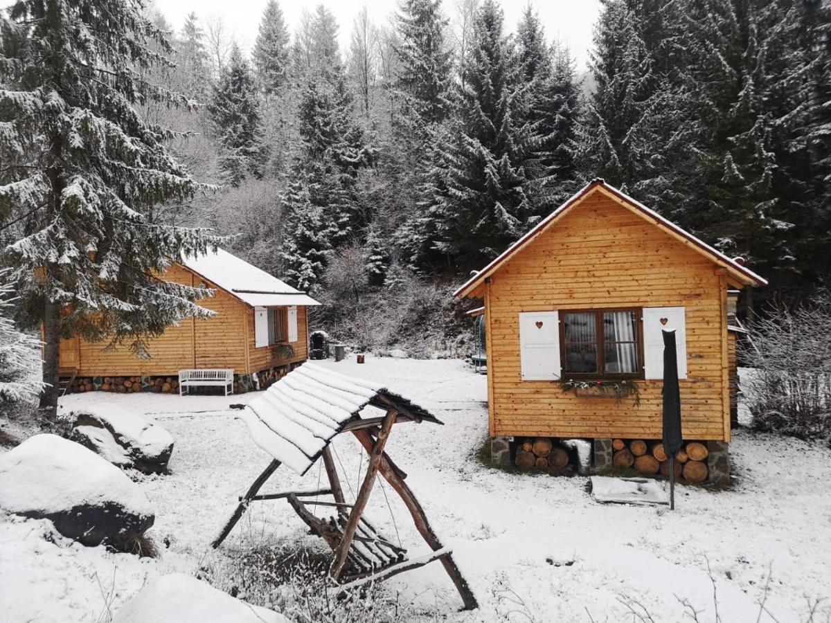 Homorod Lodge Băile Homorod エクステリア 写真