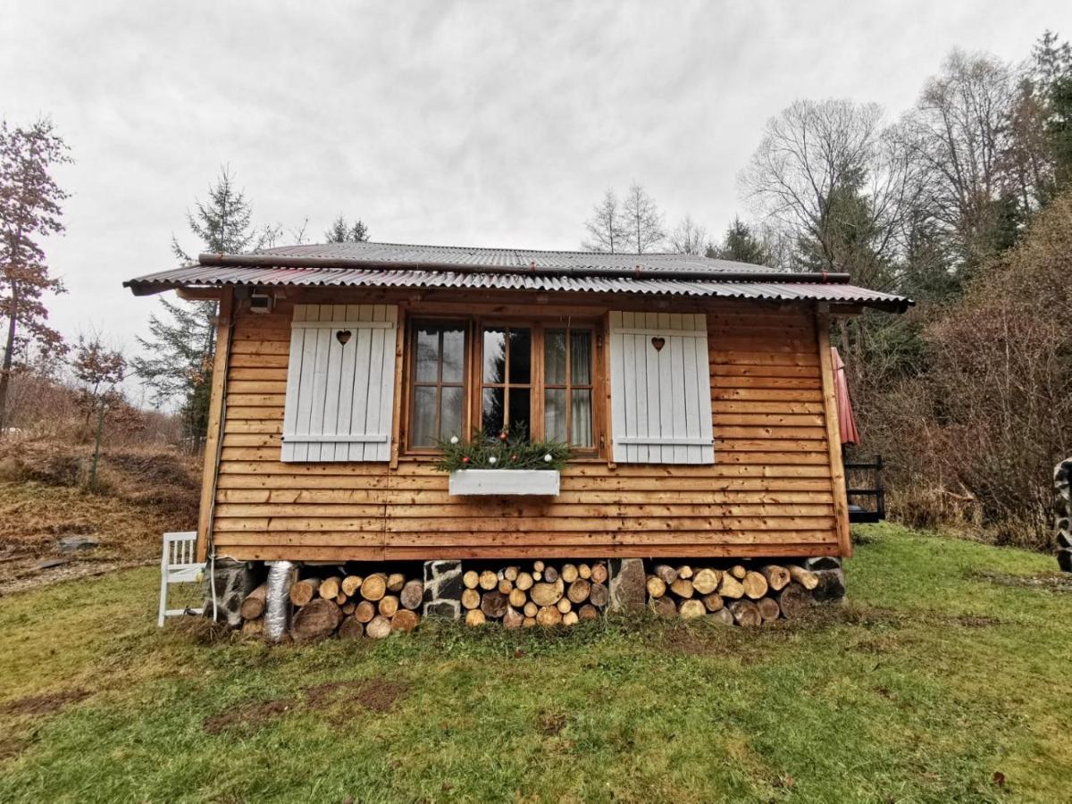 Homorod Lodge Băile Homorod エクステリア 写真