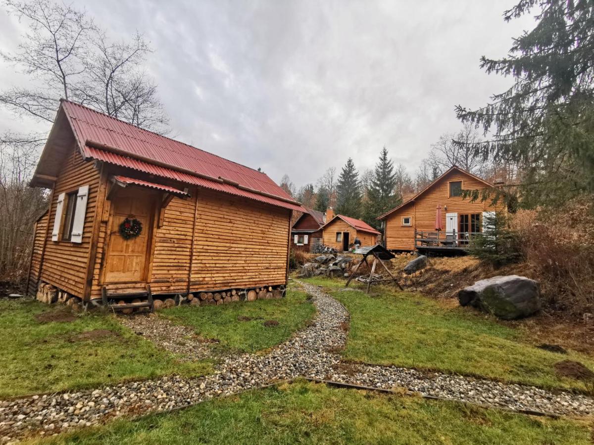 Homorod Lodge Băile Homorod エクステリア 写真