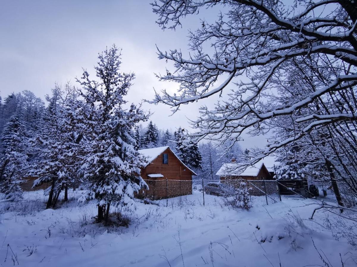 Homorod Lodge Băile Homorod エクステリア 写真