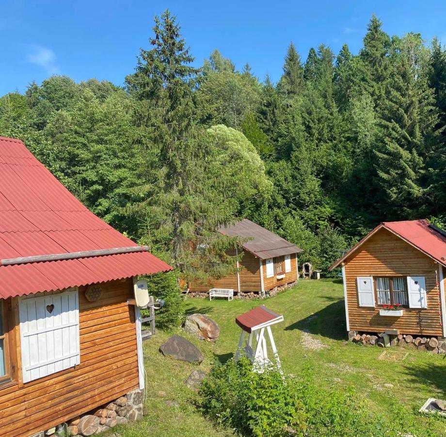 Homorod Lodge Băile Homorod エクステリア 写真